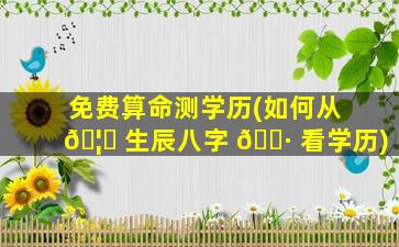免费算命测学历(如何从 🦈 生辰八字 🕷 看学历)